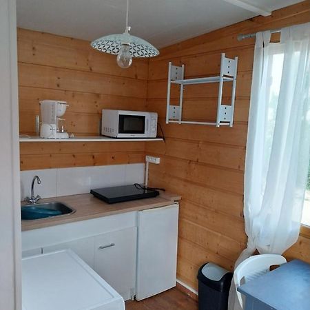 Le Petit Chalet Chanas Exterior photo